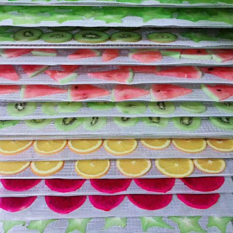 Antihaftbeschichtete Silikonschalen für Dörrgeräte, wiederverwendbar, für Obst und Gemüse, Trockennetz (1/5)