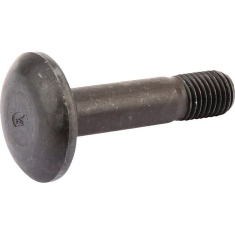 Vite a testa piatta M16x70-10,9 RABE 22044912