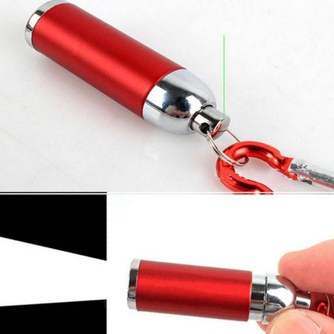 TrAdE Shop Traesio - Mini Torcia Porta Chiave In Alluminio Luce Bianca 1 Led 1,5 X 5,5 Cm -