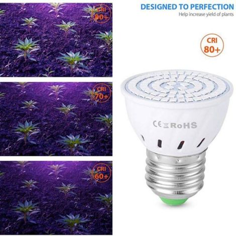 Lampe De Croissance - E27 - LED 2835 SMD - Pour Serre Intérieure Et Semis - 48 60 Ou 80 Led - 220-240 V - 50000 Heures - 1 Piece (1/4)