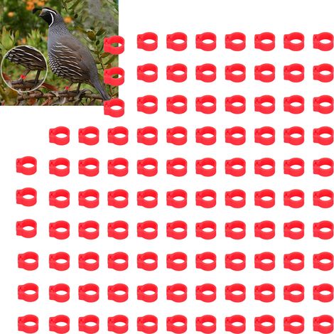 100 bagues d'identification pour pigeons de 8 mm, sans inscription, rouges. (1/5)