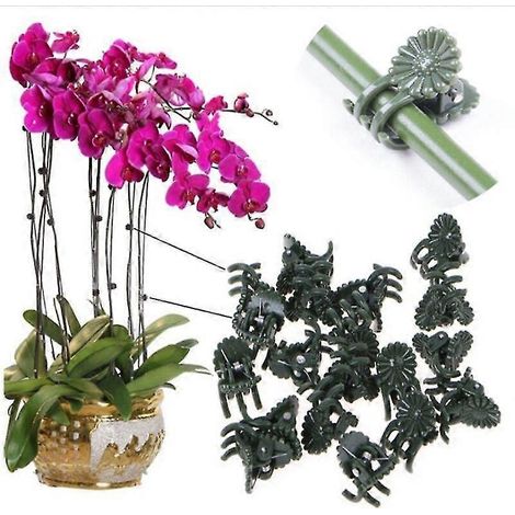 20/50/100 pinces de support pour plantes en plastique, pinces pour tiges d'orchidées, pinces pour attacher les branches de fleurs grimpantes, outils de jardinage (1/5)