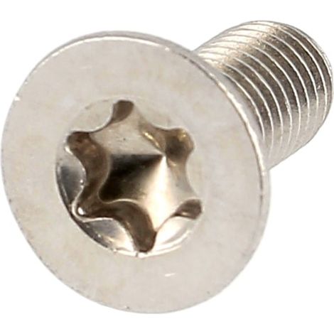 TF Torx M8X80 Inox A2 DIN 965