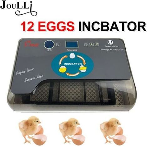JOULLI Incubateur d\'œufs - Eclairage dirigé--Capacité d\'oeufs: 12 PCS (1/4)