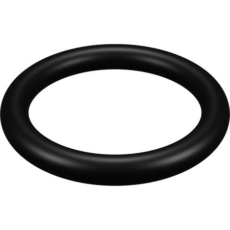 Joint de purge d'air pour filtre Hayward ® (1/3)