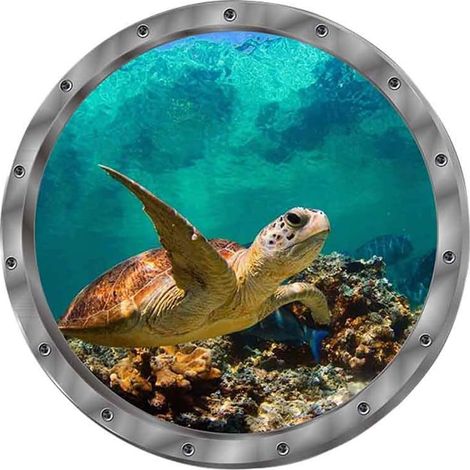 MINKUROW Adhesivo De Pared 3d Adhesivo De Pared Ventana Delfín Tortugas Mundo Submarino Delfines Marino Sala De Estar Dormitorio Habitación Infantil Decoración (Tortugas) (1/5)