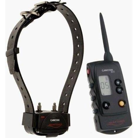 Ensemble dressage chien a distance CANICOM 800 (1/3)