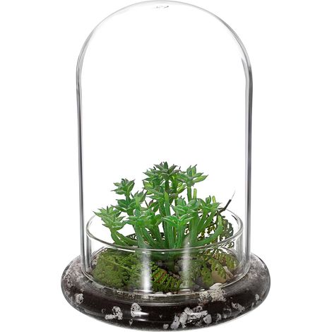Mini pot de terrarium pour plantes succulentes - Dôme en verre transparent avec trou d'aération de 3 mm - Cloche décorative en verre avec fond en verre - Décoration de table pour bureau (1/5)