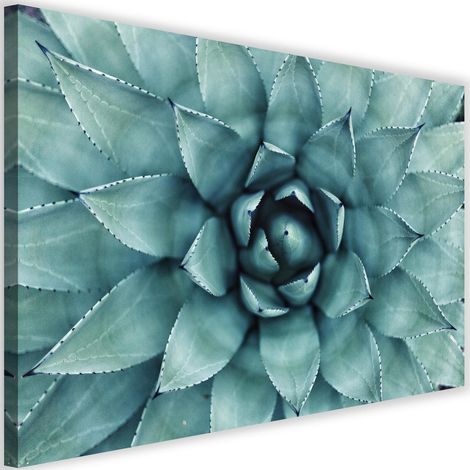Tableau sur toile Plante d'aloe vera Fleur 60x40 (1/5)