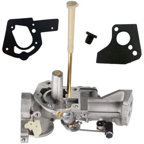 Carburateur pour motoculteur – Remplacement Briggs et Stratton 498298, 692784, 495951 – Performance fiable pour jardinage (1/5)