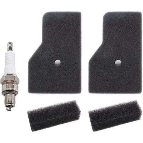 S-giant Kit de filtres à air compatible pour générateurs Honda EU2200i, EU2000i, EU20i, EU22i - 2 filtres à air, 2 pré-filtres et bougies d’allumage, Remplaçant références 17211-Z07-000 et 17218-Z07-0 (1/5)