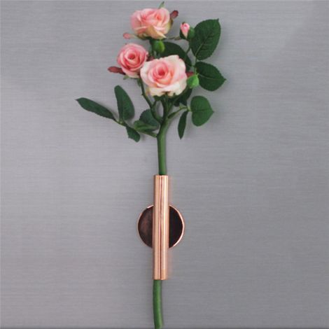 Vase mural simple en fer pour fleurs séchées, idéal pour la décoration du salon. (1/5)