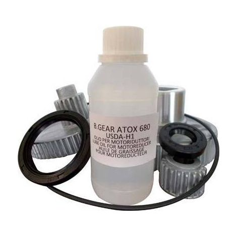 KIT RICAMBIO MOTORIDUTTORE 1004 REBER
