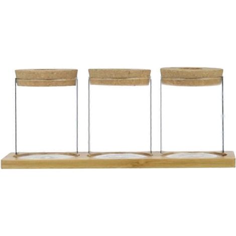 Bouteille pour plantes hydroponiques, mini vase pour plantes hydroponiques, pot de fleurs vert, décoration pour la maison, le jardin ou la cour (1/5)
