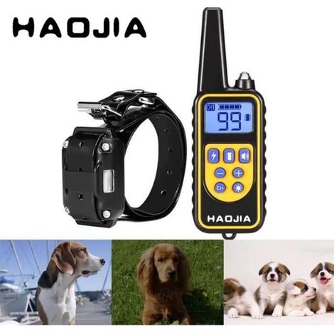 Collier Electrique de Formation de Chien de Télécommande Imperméable de 800m (1/4)