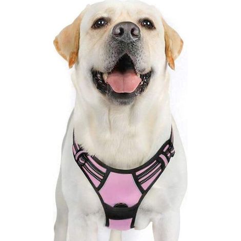 Harnais Chien XL Arnais Rose Anti Traction Réfléchissant Gilet Réglable pour Chien Grand Taille, Attache Devant Crochet de Laisse pour Trajet Voiture, American Staff, Border Collier-Ensoleillé (1/5)