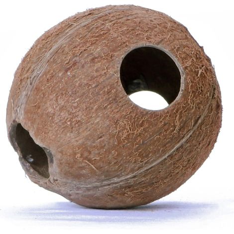 Terrario CocoLair - cocco naturale intero (1/5)