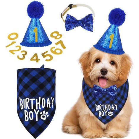 Artículos para fiestas caninas: incluye pañuelos con forma de pastel para niños y niñas，medianas y pequeñas. Color azul (1/5)