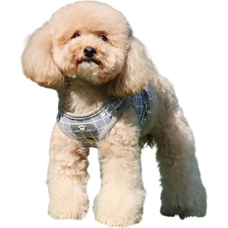 1 harnais-gilet pour chien, maille respirante et rembourré, carreaux réfléchissants, avec laisse intégrée, gris (1/5)