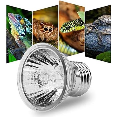 Ampoule chauffante pour tortues, lampe émettrice de chaleur E27 110V 25W pour reptiles et amphibiens ou animaux de compagnie (25W) (1/5)