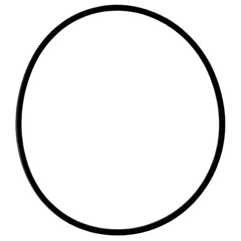 KONVERTERKOLBENDICHTUNG 115,57 mm x 3,17 mm x 2,03 mm 722,6 722,9
