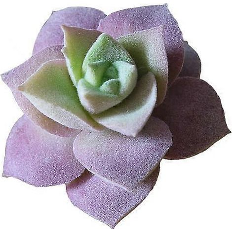 plante succulente artificielle en plastique, style bonsaï, pour la décoration du jardin, de la maison ou du bureau.UN (1/2)