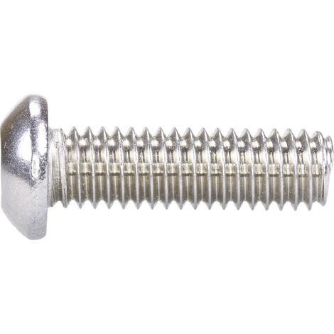 Reidl Sicherheitsschrauben, Halbrundkopf (PIN-Innensechskant) M 10 x 75, A2 blank