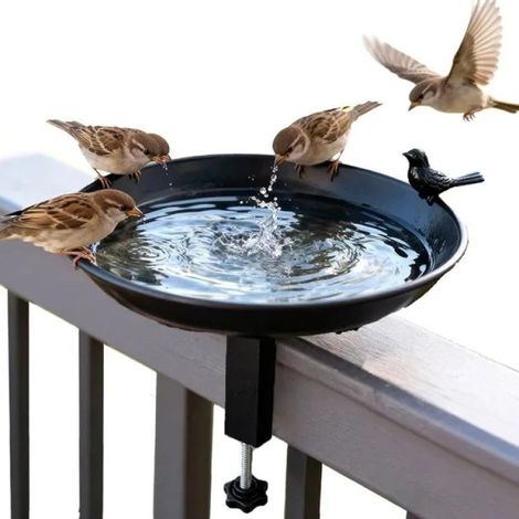 Beyamis Bain d'oiseaux en métal sur pied avec mangeoire amovible, décoration extérieure pour jardin, pelouse et terrasse, support décoratif pour les passionnés d'ornithologie. (1/5)