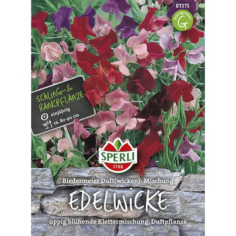 Sperli Biedermeier Duftwicken Mischung - Blumensamen (1/2)
