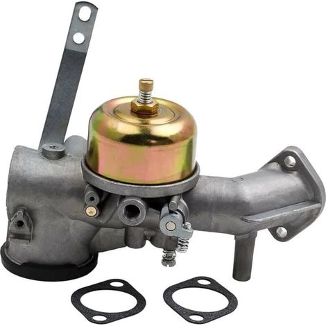 Carburatore Ulisem per carburatore 491031 490499 12HP (1/3)