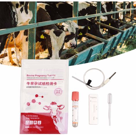 Kit de Test de Grossesse Bovin - Complet et Sensible - Diagnostic Précoce Rapide pour Vaches - Accessoire Ferme (1/5)
