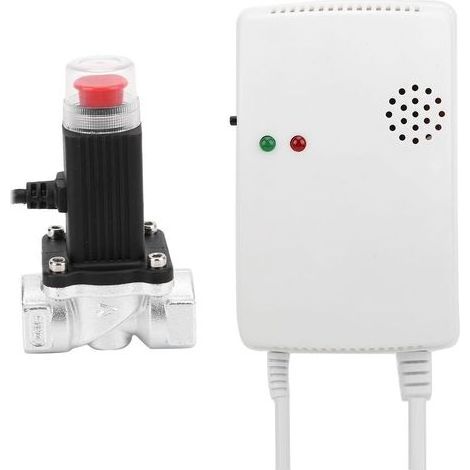 Détecteur De Gaz - Alimentation 110-220 V AC - Pour Gaz Naturel Et GPL - Installation Murale - 1 Pièce (1/5)