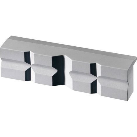 Brockhaus Heuer MAGNETFIX 108100 Ganasce per morsa 108100 Larghezza becchi/ganasce: 100 mm (1/5)