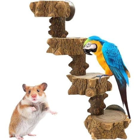 Jouet d'oiseaux en Bois échelles pour Cages à Oiseaux Jouet d'escalade D'échelle pour Perruches Perroquets Oiseaux Hamsters