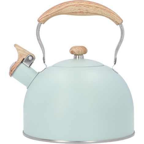 Bouilloire sifflante 2,5 L en acier inoxydable vert, grande capacité pour plaque de cuisson, poignée froide antidérapante