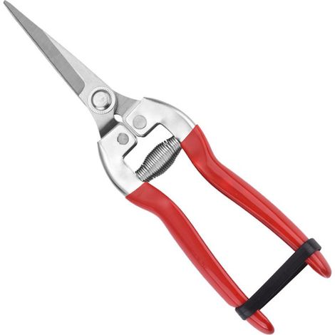 Sécateur, Ciseaux Tout Usage, Sécateur Outil de Coupe, Adapté à la Taille des Branches Dans le Jardin et à la Taille(Rouge) (1/5)