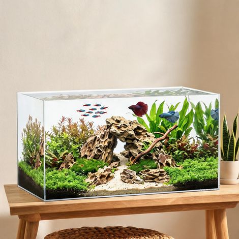 Aquarium en verre 51 L 60 x 30 x 30 cm pour poissons et crevettes (1/5)