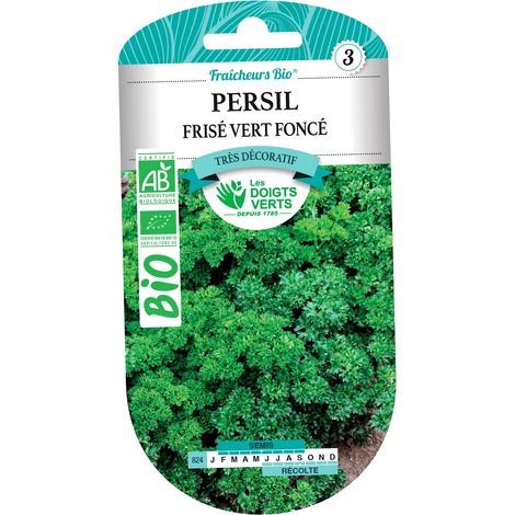 Graines de persil frisé vert foncé BIO Les Doigts Verts