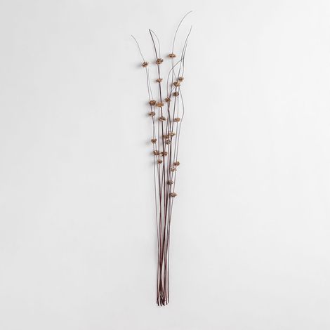 Sklum – Pack de 10 branches sèches décoratives Zinia – Couleur brun – Fleurs naturelles pour décoration intérieure – Dimensions 102 cm x 7 cm x 1 cm