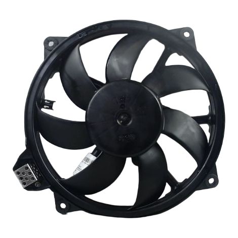 Moteur Ventilateur Radiateur RENAULT Megane Scenic III [PRODUIT D'OCCASION]♻️214810898r (1/3)