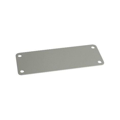 Schneider NSYAECPFLBP Cover for cut-out FL 21