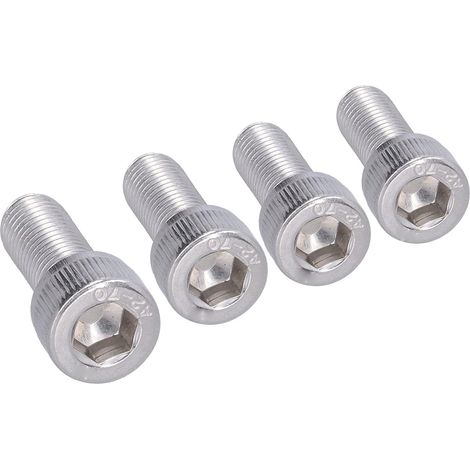 4-teiliger Satz M10-Sechskantschrauben, Edelstahl, 1,25 mm (M1025) (1/5)