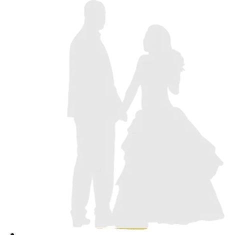 Arche de Mariage, Construction Métallique, Design Extra Large, Carré-2m, 2m/6.6FT-f (1/2)
