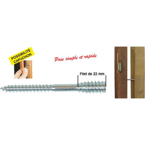 Box von 100 Schrauben top roc Holz ING BEFESTIGUNGEN - 6x60 mm - Fil.22 mm + Dübel - A430000