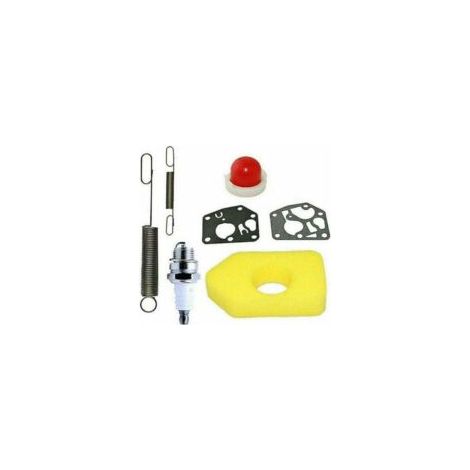 Rasenmäher-Zubehör: Schaumstoff-Luftfilter-Set mit LT7-Zündkerze und 2 Federn, kompatibel mit Briggs & Stratton - Crezuo (1/4)