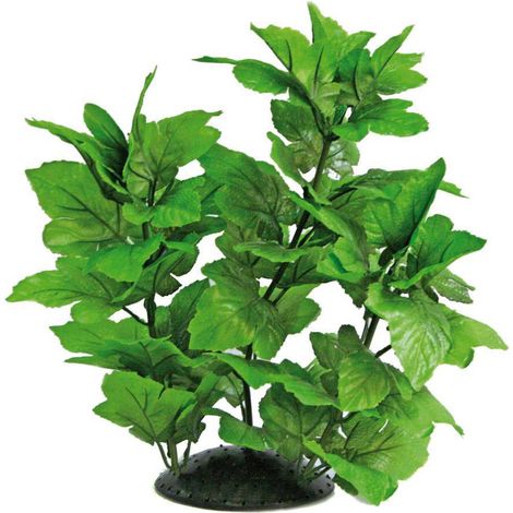 Set 6 pezzi Plant Replica Hygrophila 30 cm