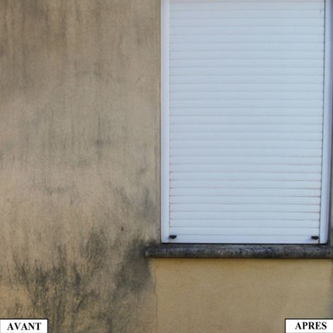 Anti verdissures, destructeur des verdissures, algues et lichens - 5 L Incolore - MATPRO (1/5)