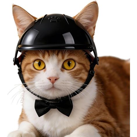 Casque pour Petit Chien Élégant avec Sangle de Menton réglable Casque Protecteur et Chapeau pour Chat,Adapté aux Petites, Moyennes et Grandes Races, Moto, Camping et Voyage (1/5)