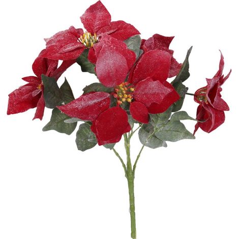 Un festoso bouquet di stelle di Natale rosse e innevate (1/2)