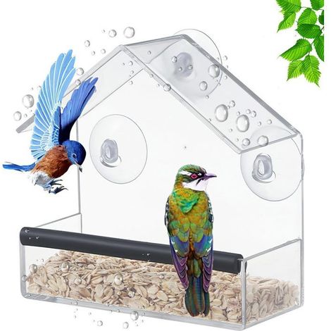 mangeoire à oiseaux de fenêtre mangeoires transparentes avec ventouses puissantes, station d'alimentation extérieure, jardin (1/5)